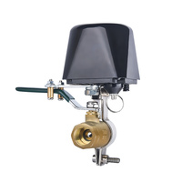 Sterownik zaworu wody i gazu - Wi-Fi TUYA